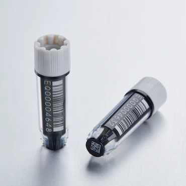 艾本德Eppendorf CryoStorage Vial, 0.5 mL, 不含 DNase、RNase、人類 DNA 和內(nèi)毒素；外螺紋，預(yù)先加蓋灰色管蓋，帶 2D SafeCode (DataMa